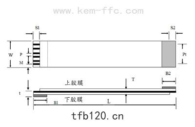 FFC排綫(xiàn)平麵結構